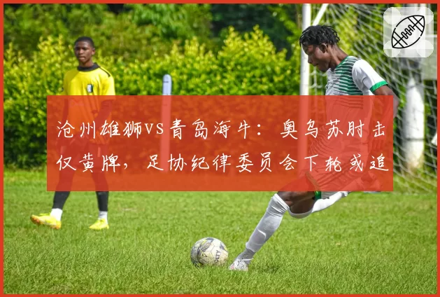 沧州雄狮vs青岛海牛：奥乌苏肘击仅黄牌，足协纪律委员会下轮或追加停赛处罚